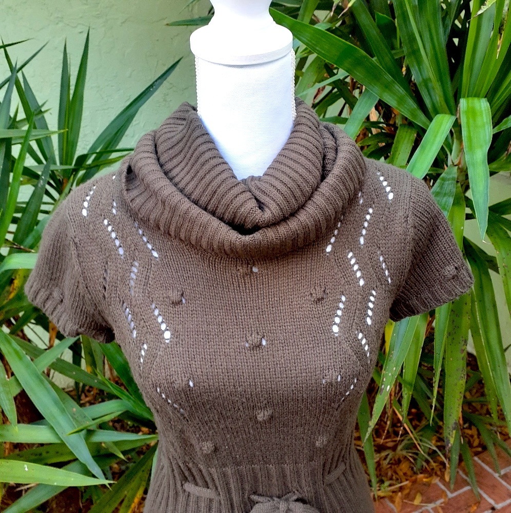 Brown Belted Sweater Dress